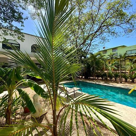 Casa Alice Marbella Lodge المظهر الخارجي الصورة