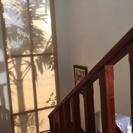 Casa Alice Marbella Lodge المظهر الخارجي الصورة
