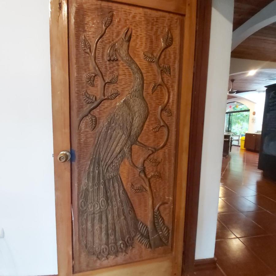 Casa Alice Marbella Lodge المظهر الخارجي الصورة
