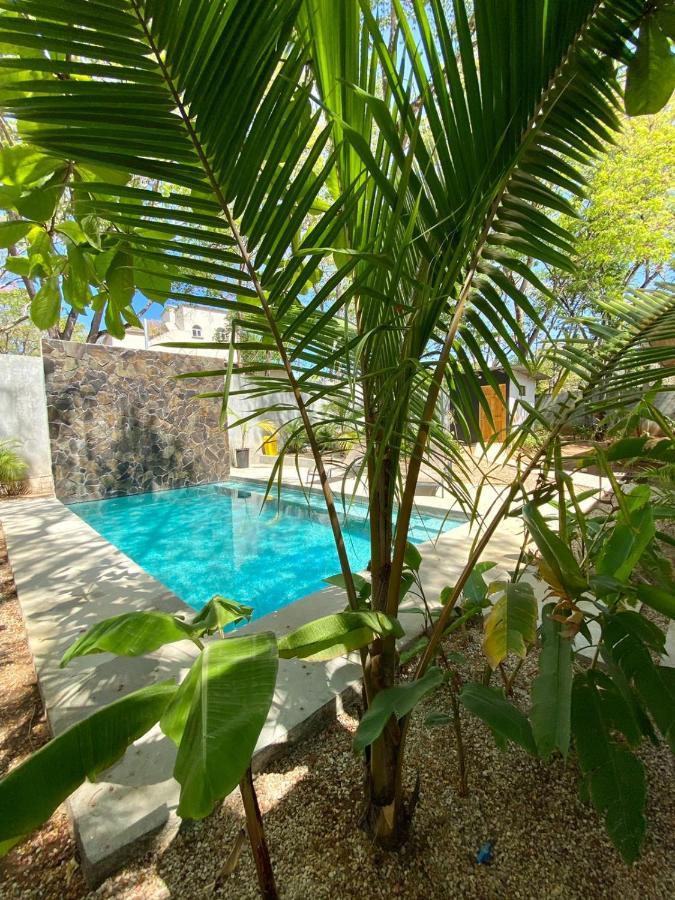 Casa Alice Marbella Lodge المظهر الخارجي الصورة