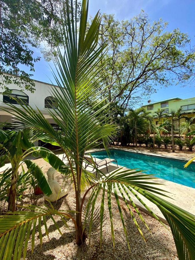 Casa Alice Marbella Lodge المظهر الخارجي الصورة
