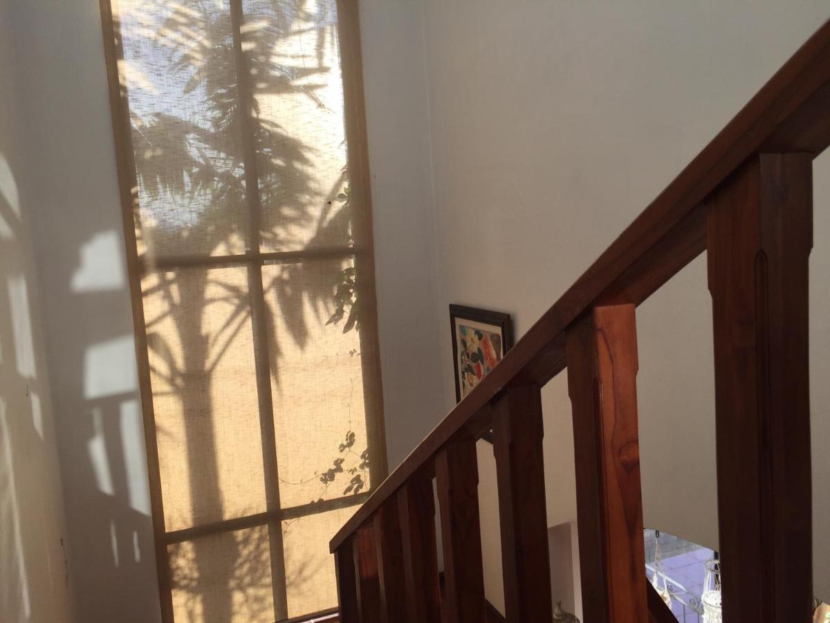 Casa Alice Marbella Lodge المظهر الخارجي الصورة