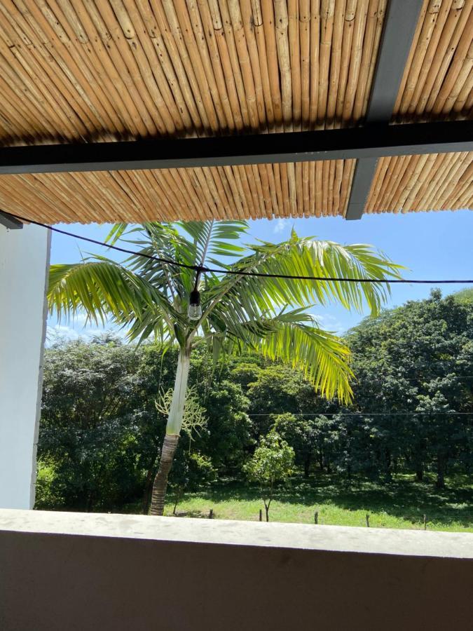 Casa Alice Marbella Lodge المظهر الخارجي الصورة